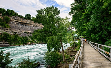 White Water Walk