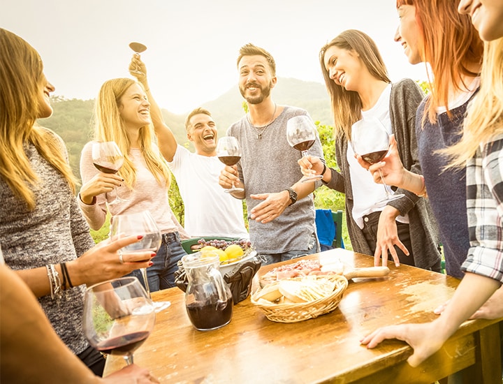Grape & Wine Festival Tour