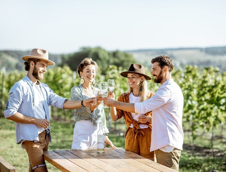 Niagara Wine Country Tour